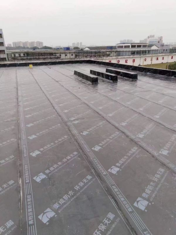 奥成防水卷材系列,奥成防水涂料系列,奥成自粘橡胶沥青防水卷材,醴陵市奥成防水材料有限公司