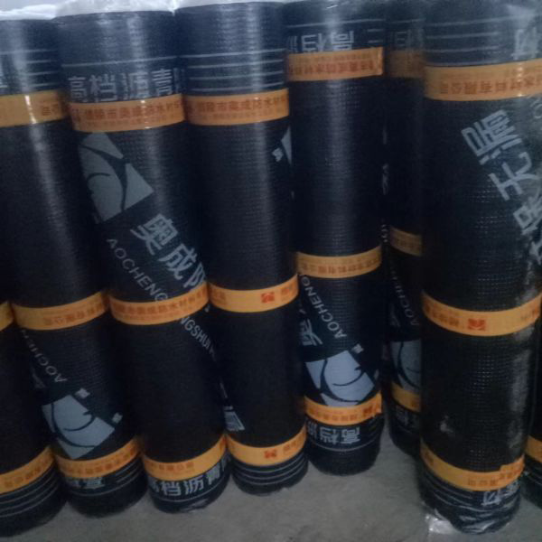奥成防水卷材系列,奥成防水涂料系列,奥成自粘橡胶沥青防水卷材,醴陵市奥成防水材料有限公司